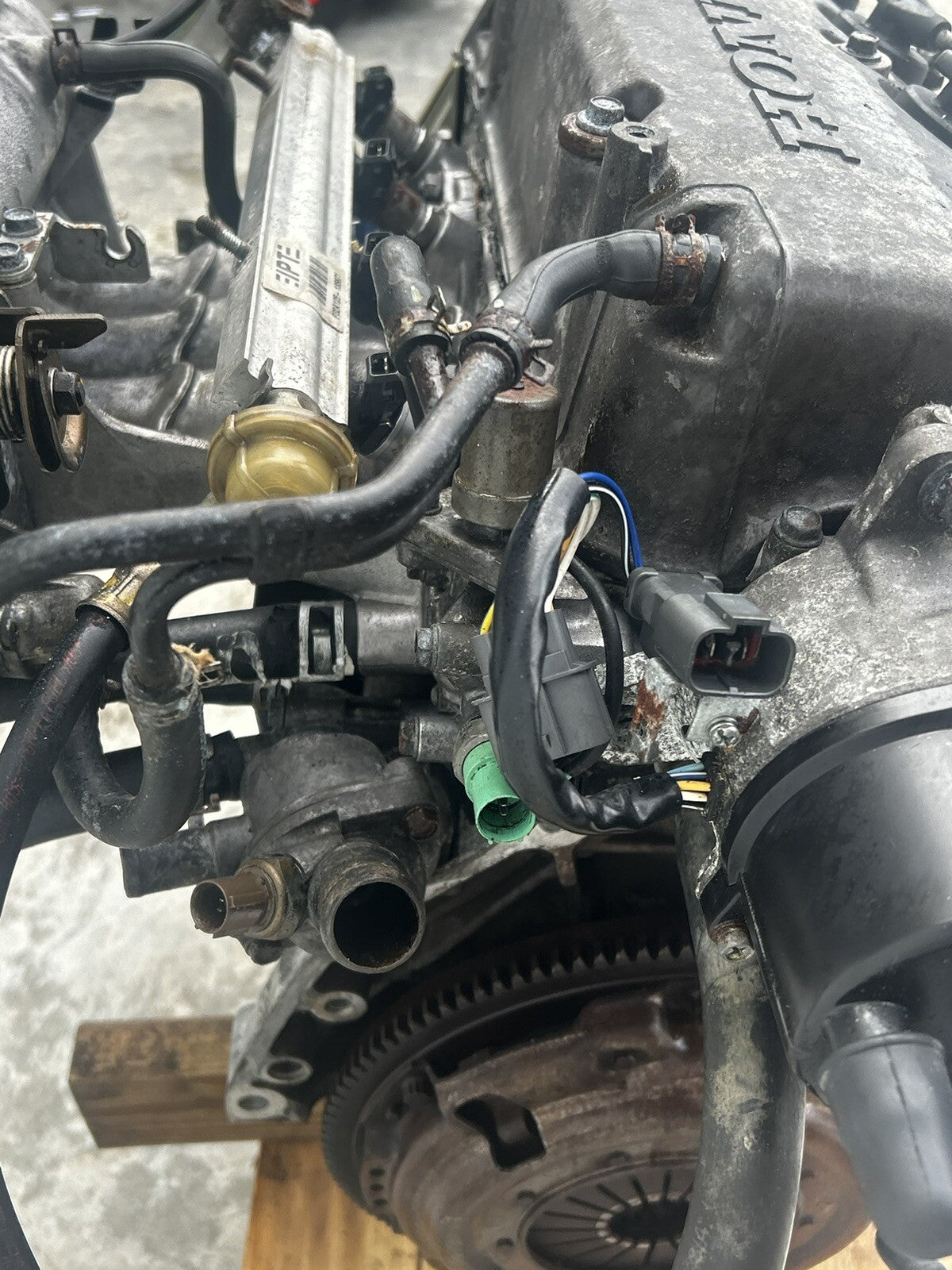 44481341