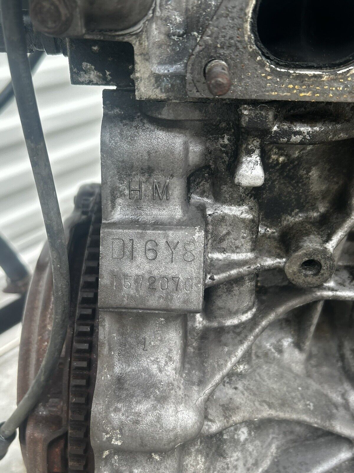 44481340