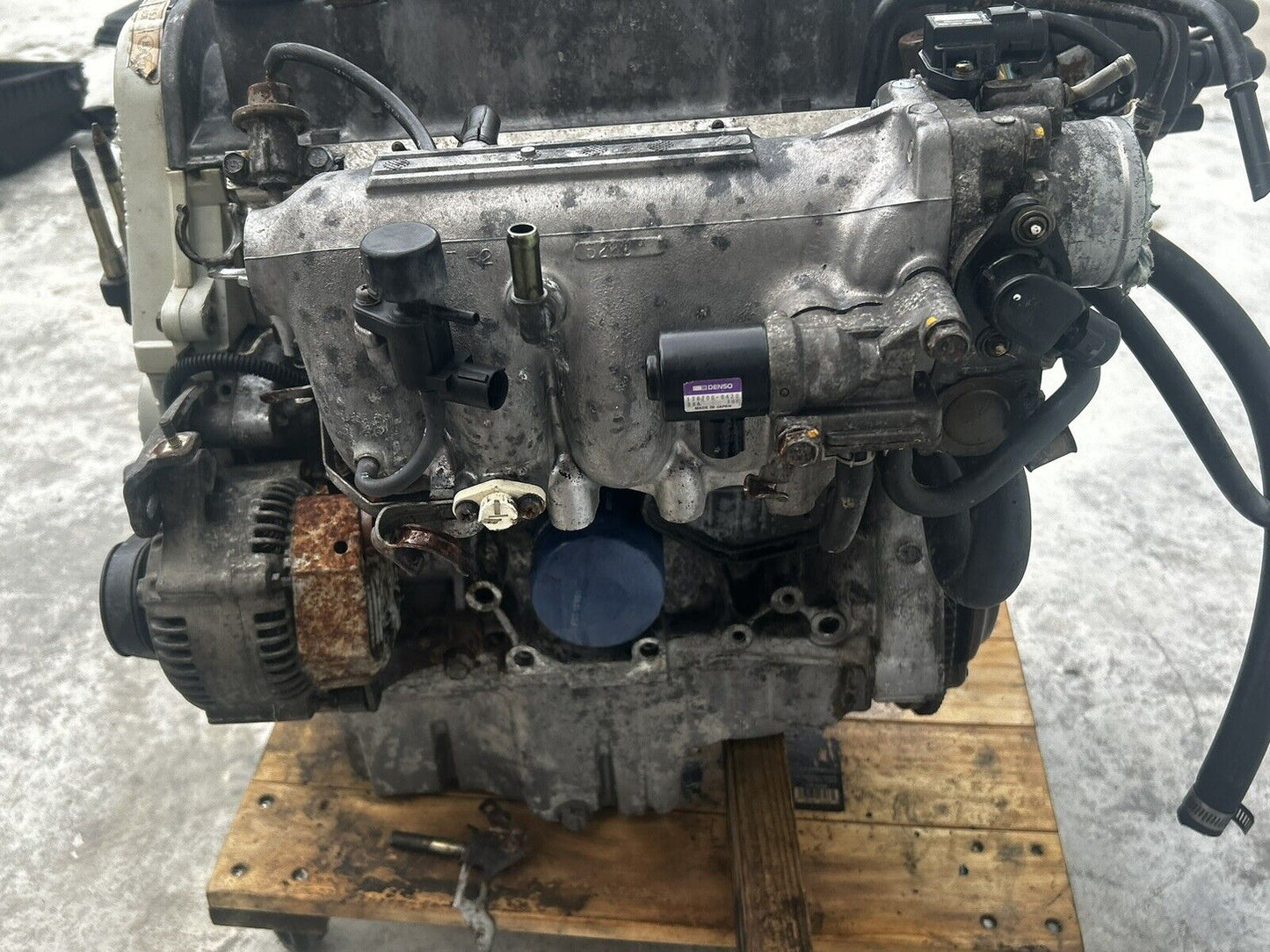44481341