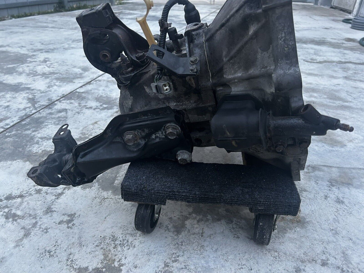 43789244