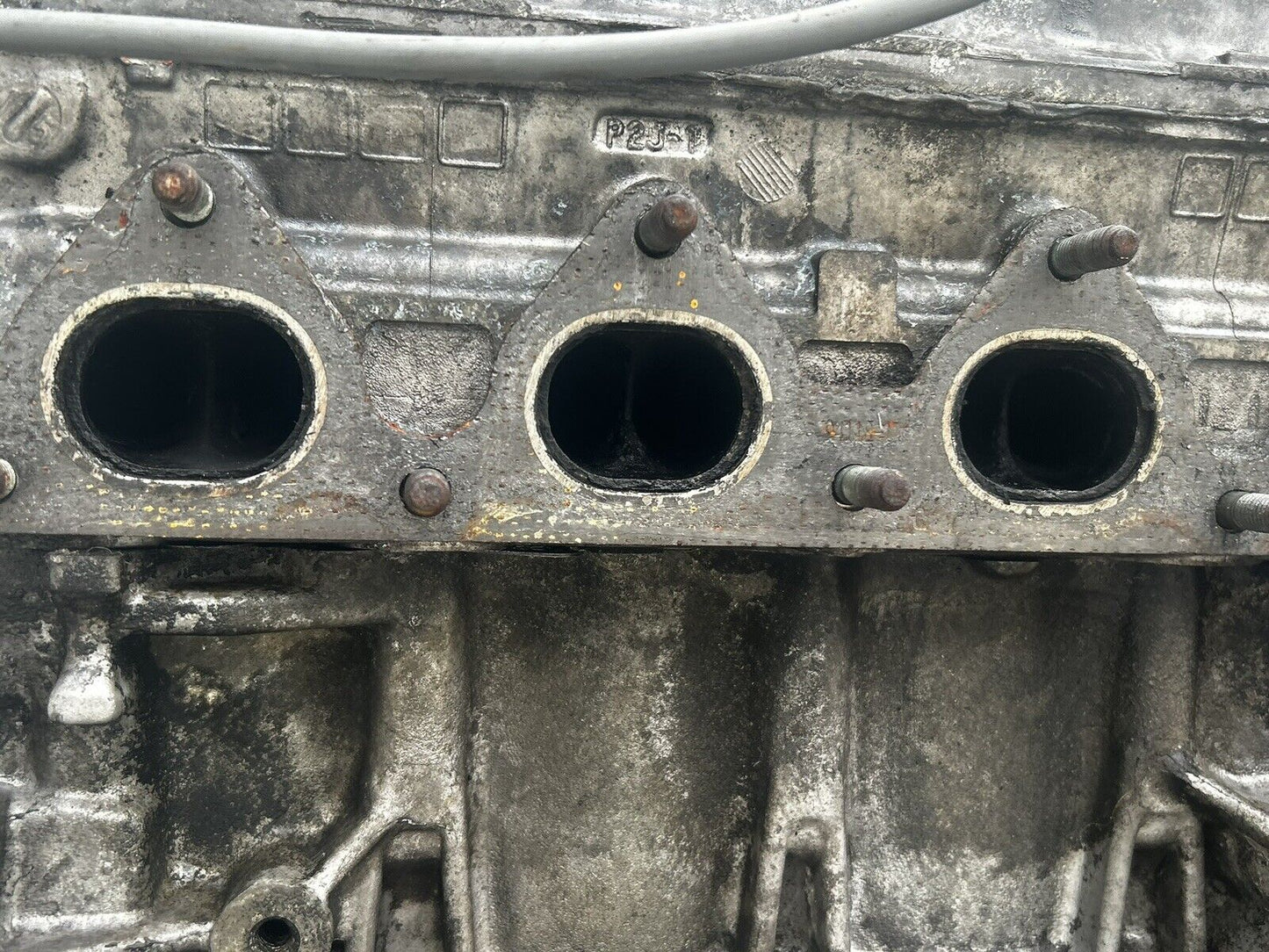 44481341