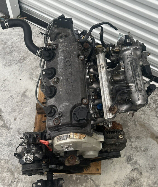 44481340